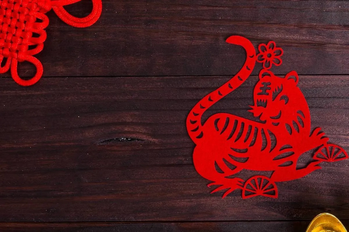 Тигр по китайскому календарю: стратегия на период ретроградного Меркурия. Фото © Shutterstock / FOTODOM / ShutterOK