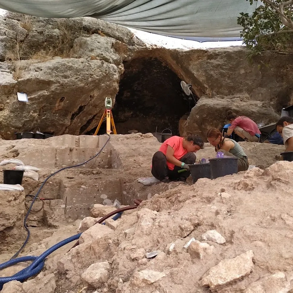 На раскопках. Фото © livescience.com / Yossi Zaidner