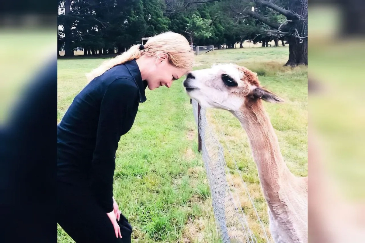У Николь Кидман куча разнообразного бизнеса, например ферма альпаков. Они классные и не такие упрямые, как бараны. Фото © Instagram (признан экстремистской организацией и запрещён на территории Российской Федерации) / nicolekidman