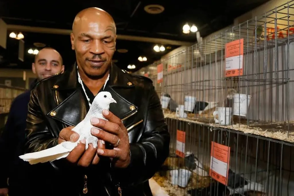 Тайсон с детства разговаривает с голубями. Будь он обычным парнем, лежал бы в психушке, но он боксёр, так что зарабатывает миллионы. Фото © ТАСС / AP / Nick Ut