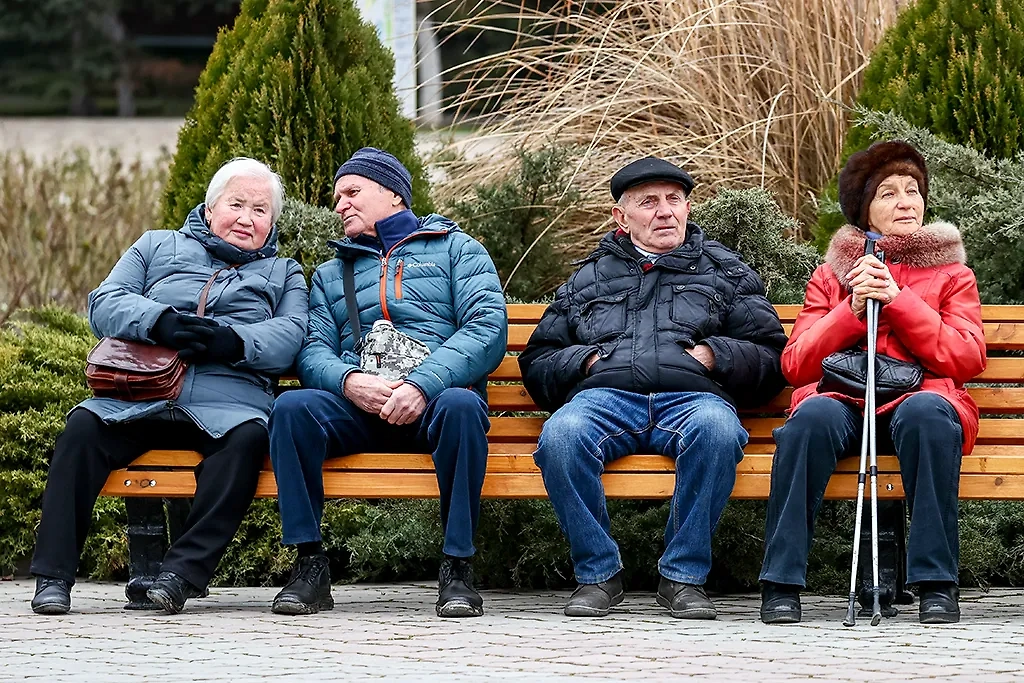 В России планируют ввести единую социальную карту для пенсионеров. Обложка © ТАСС / Сергей Мальгавко