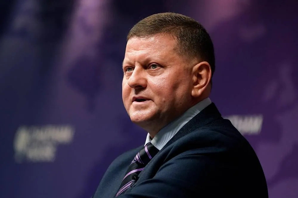 Валерий Залужный. Обложка © ТАСС / АР /Alberto Pezzali