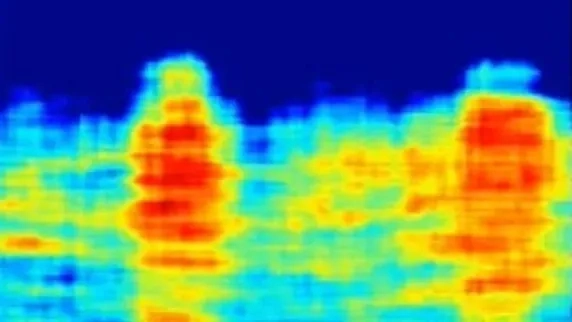 Одно из радиолокационных изображений пространства под пирамидой Хефрена, показанных на недавней презентации в Италии. Фото © Youtube / EXPEDITION -Nicole Ciccolo- 