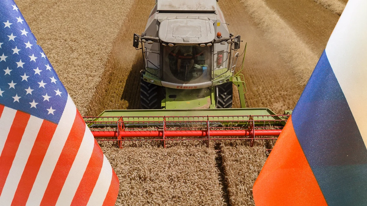 Коллаж © Life.ru. Обложка © ТАСС / CHRISTIAN BRUNA, © Shutterstock / FOTODOM / SB2010 studio