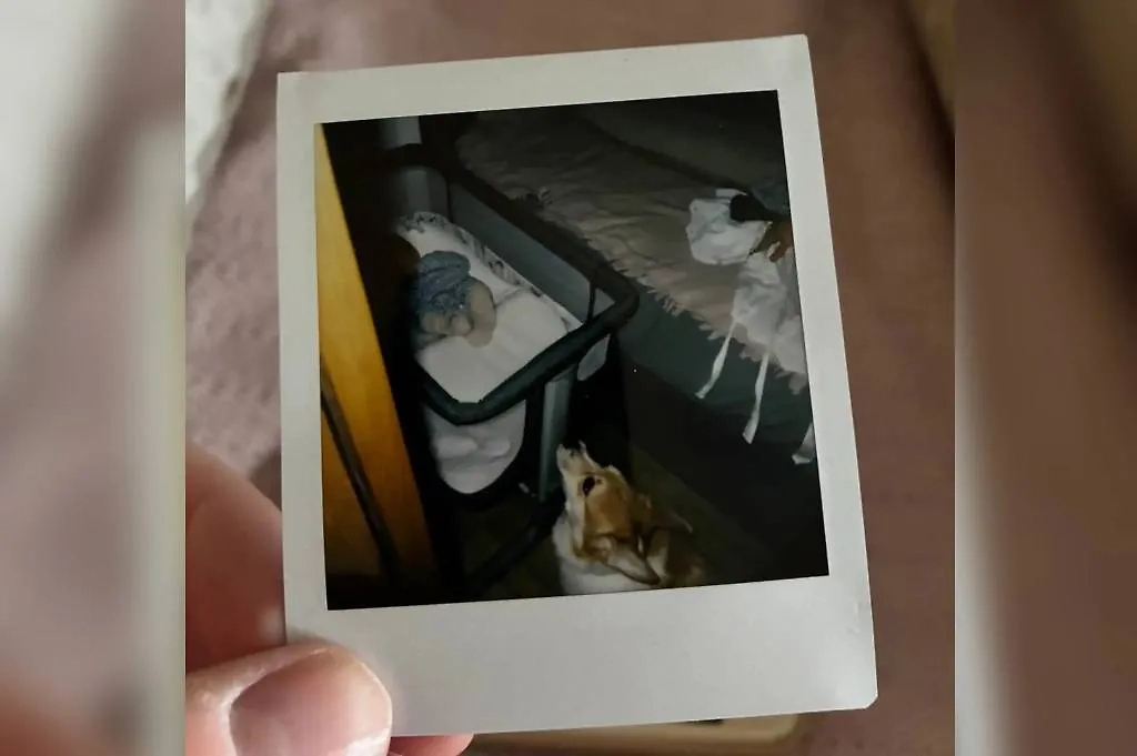 Новорождённый сын Ярославы Тринадцатко и Андрея Салеева. Фото © Telegram / Бомжатник Андрея Салеева