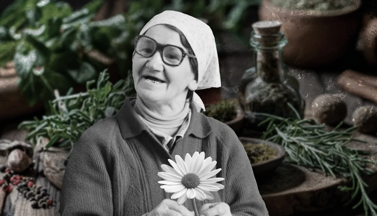 Лечебные травы от бабушки: дешевле аптеки. Коллаж © Life.ru. Фото © ТАСС / Александр Овчинников, © «Шедеврум»