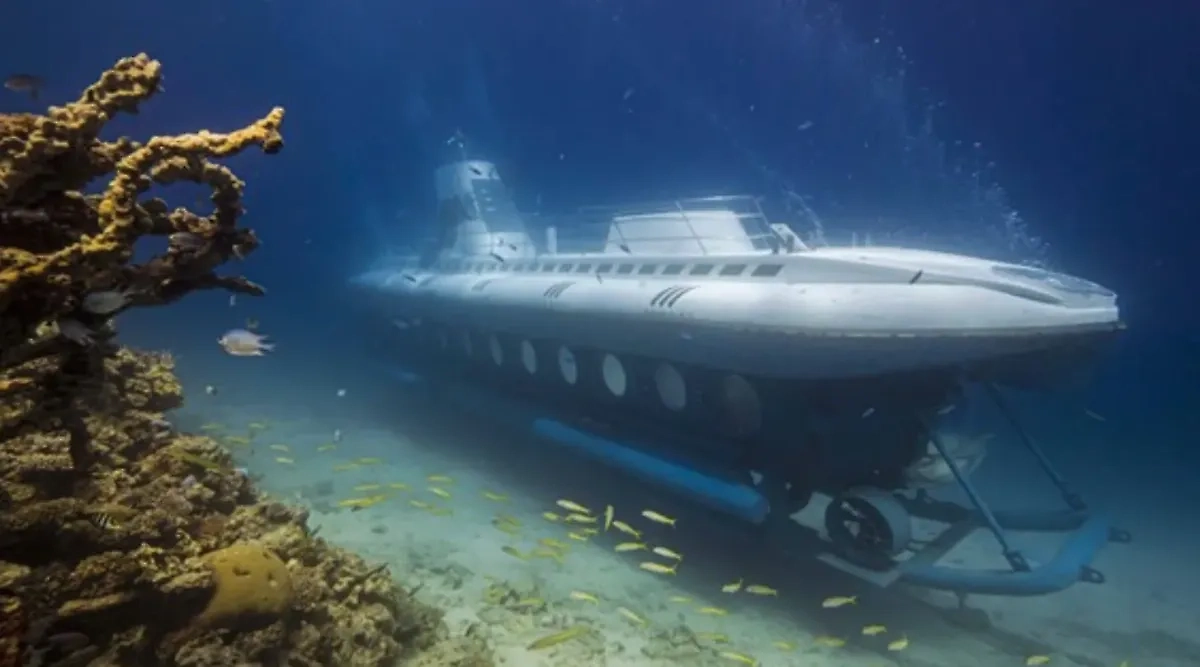 Батискаф «Синдбад» на дне. Фото © Sindbad submarines