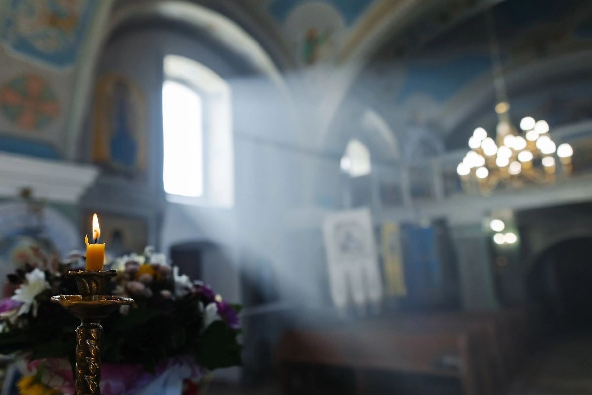 Обложка © Shutterstock / FOTODOM/ Kifor production