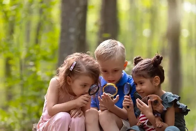 Детский лагерь. Обложка © freepik