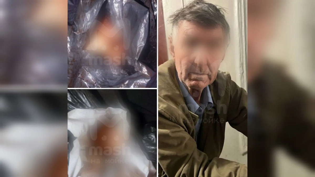 77-летний пенсионер, который расчленил женщину в Петербурге. Фото © Telegram / Mash на Мойке