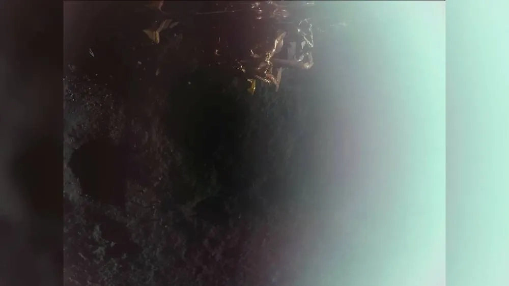 Первое изображение с миссии Blue Ghost 1, которая доставила на поверхность Луны 10 приборов NASA. Фото © Х / NASA