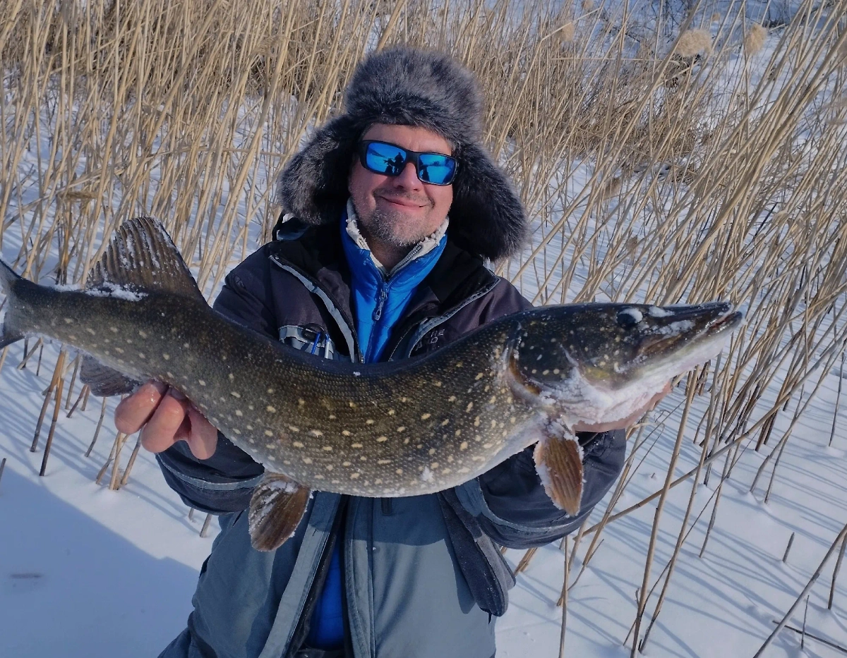 Виталий Шульга. Обложка © VK / Виталий Шульга