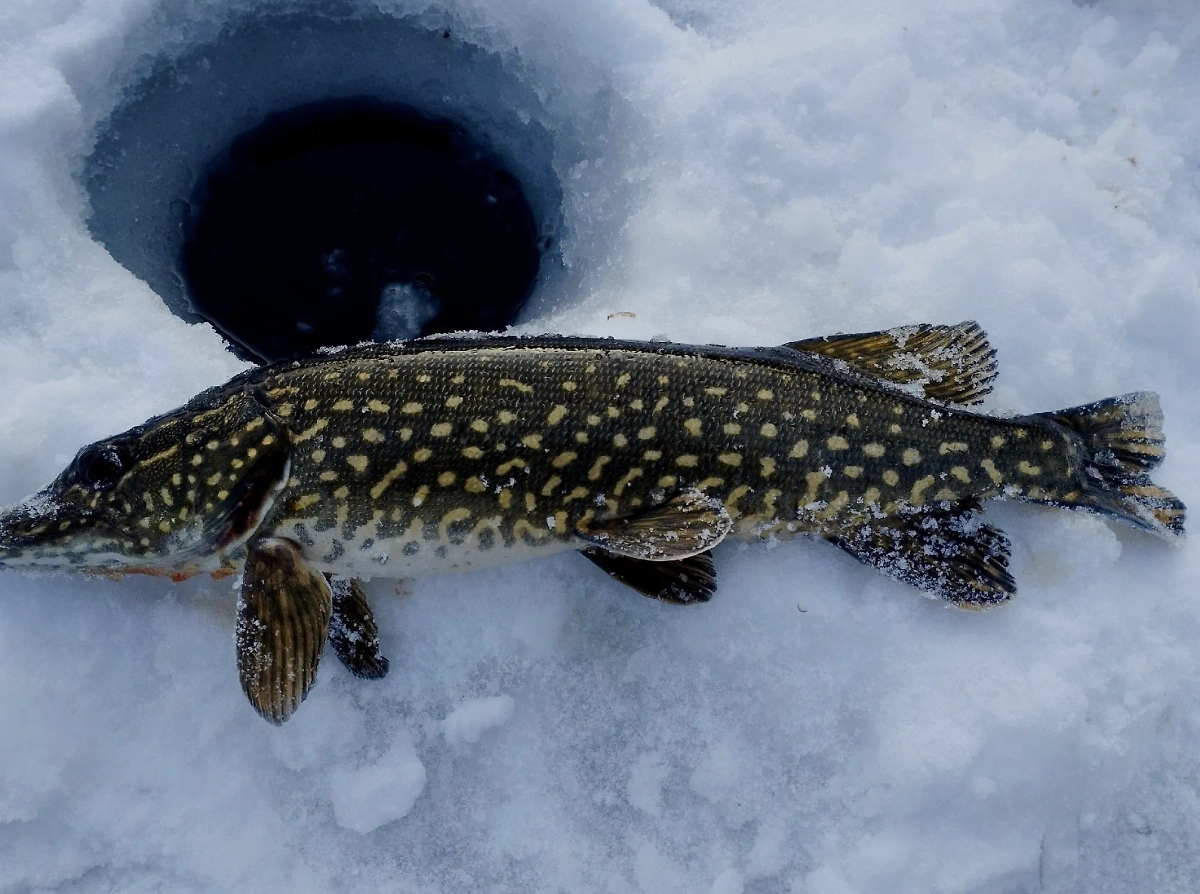 Виталий Шульга. Фото © VK / Виталий Шульга