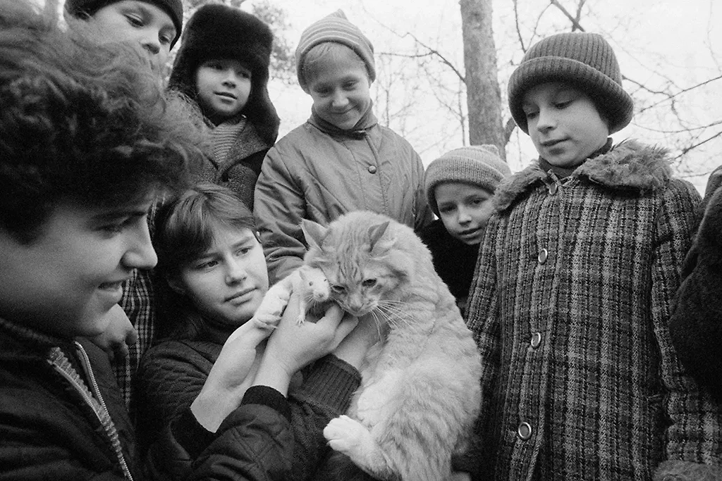 Тигрица и кот за одним столом: необычные фотографии животных из СССР. Фото © ТАСС / Марис Берсонс