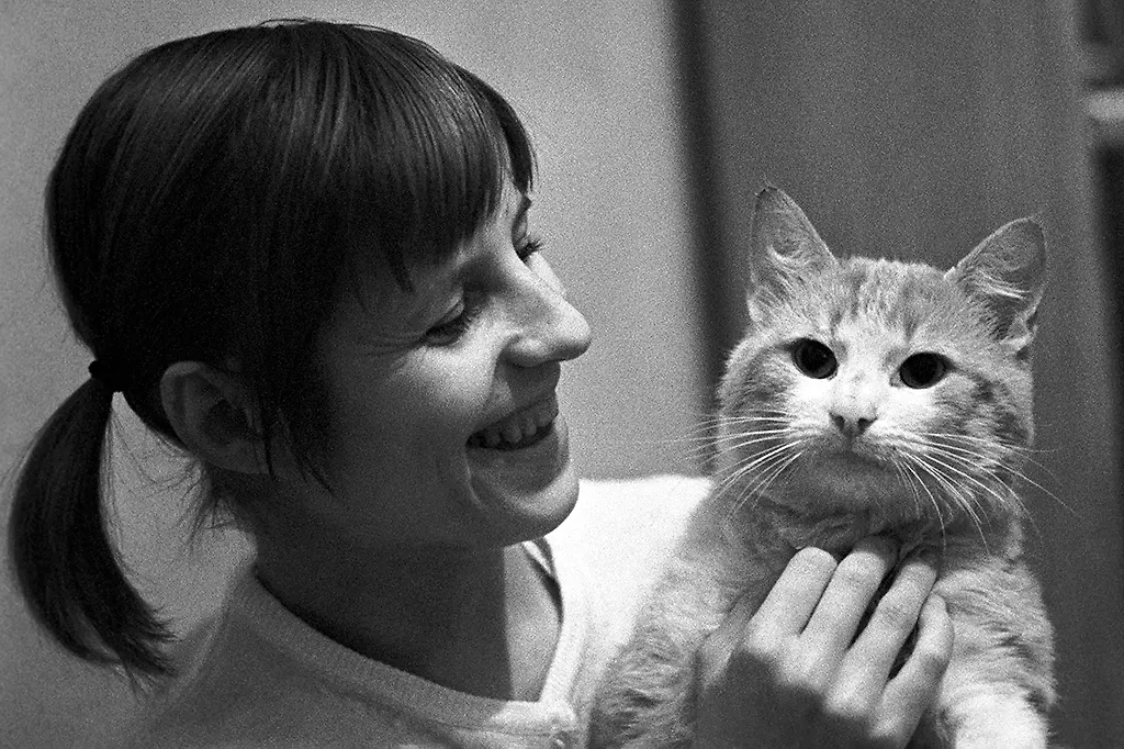 Усатые-полосатые: как выглядели советские коты на архивных фото. Фото © ТАСС / Виталий Созинов