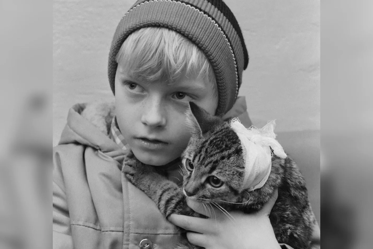 10 атмосферных фото с котами из Советского Союза. Фото © ТАСС / Валерий Маначин