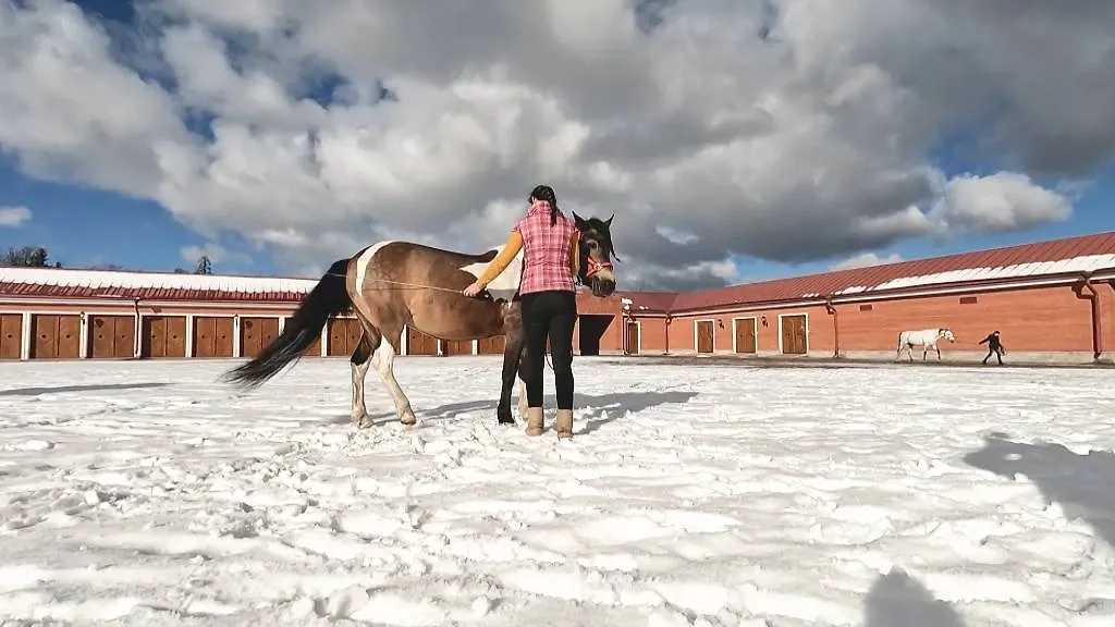 Карамелька на прогулке. Обложка © Телеканал «Санкт-Петербург»