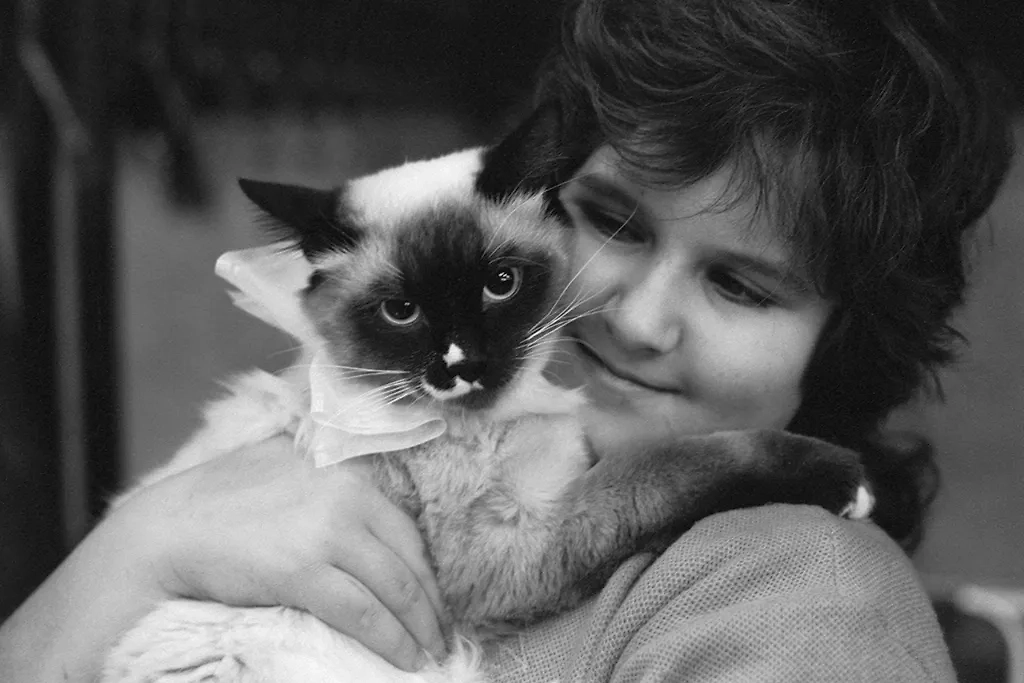 Мурлыкающие свидетели истории: фотографии советских котов из архивов. Фото © ТАСС / Сергей Величкин