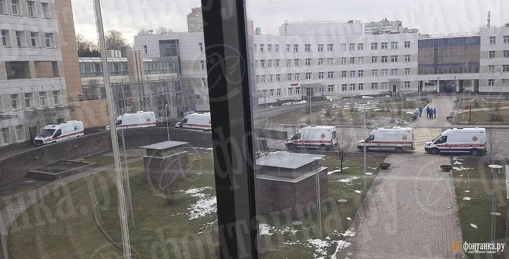 Очередь машин скорой помощи в Петербурге. Фото © fontanka.ru