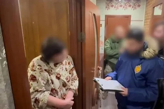 В Кургане задержали пенсионерку за 24 тысячи экстремистских комментариев. Обложка © УФСБ по Курганской области