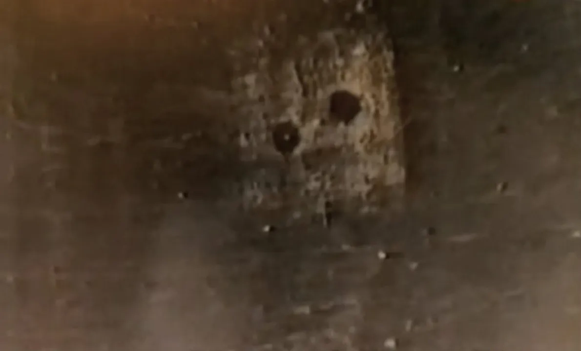 Один из страшных образов, которые поймал психиатр Крохалев. Фото © YouTube / Василлсайгер