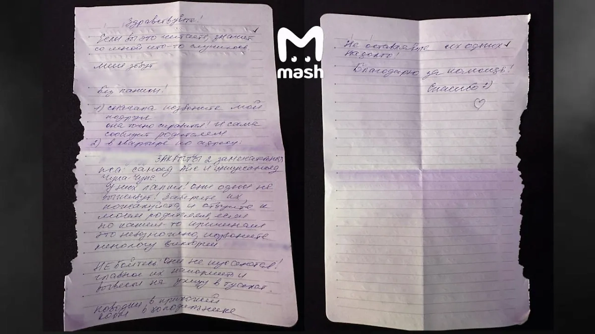 Записка, которую Лия теперь всегда носит с собой. Обложка © Telegram / Mash