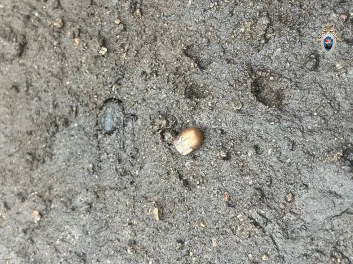 Задержанный успел произвести несколько выстрелов. Фото © Telegram / Столичный СК