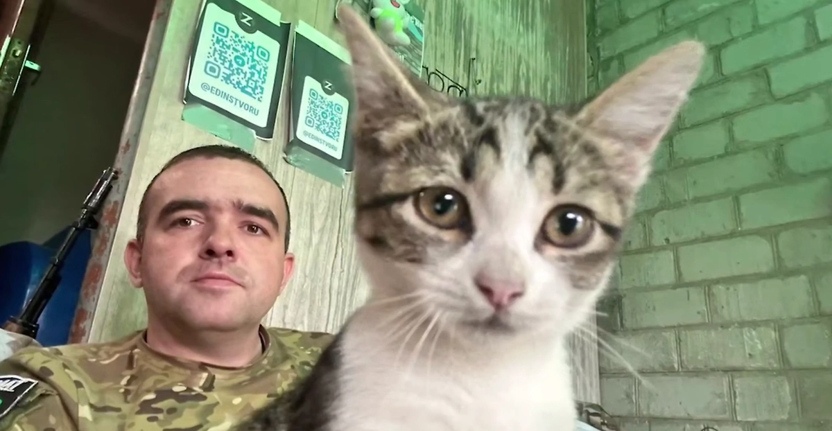 Михаил Калашников и кошка Пуля. Обложка © Telegram / Информационный центр Правительства Тюменской области