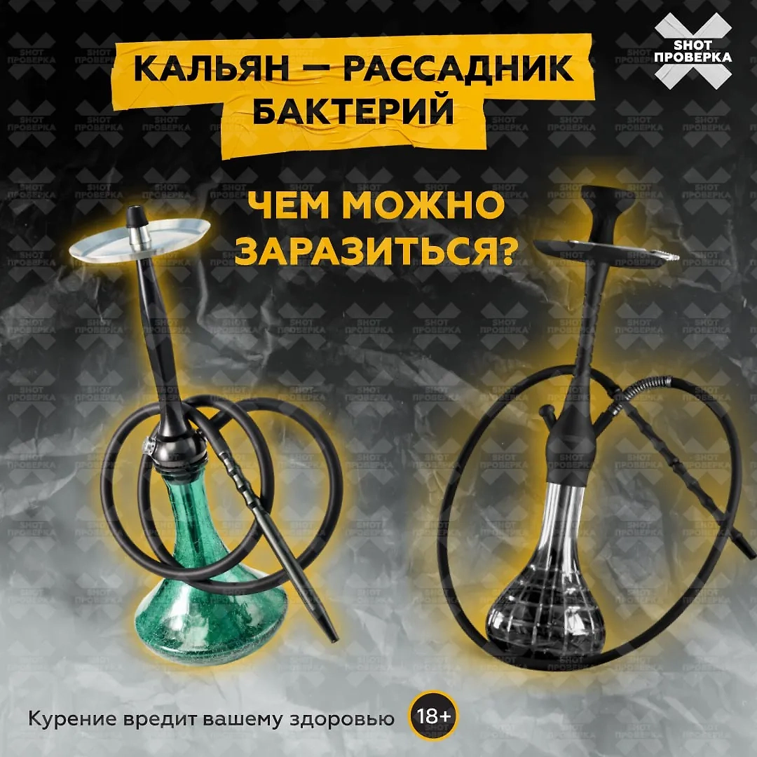 Кальяны являются настоящим рассадником бактерий. Изображение © SHOT ПРОВЕРКА