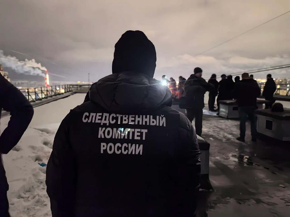 Сотрудник СК. Обложка © Telegram / СУ СК России по Мурманской области