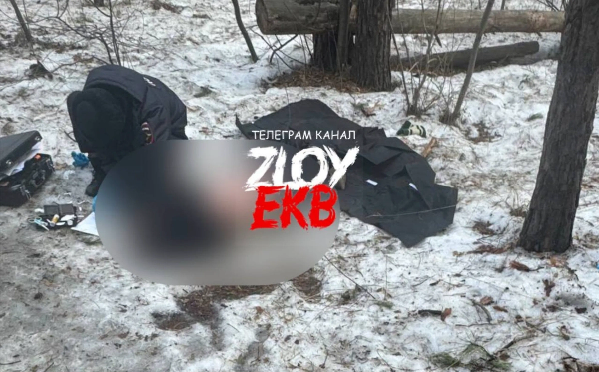 В Екатеринбурге в лесу нашли тело мужчины. Фотография © Telegram / Злой Екатеринбург