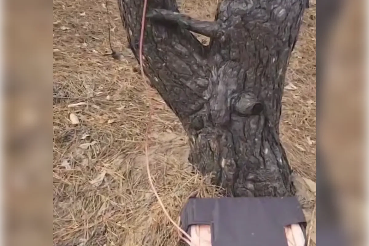 На берегу Днепра нашли устройство разведки ВСУ. Обложка © Telegram / РИА Новости