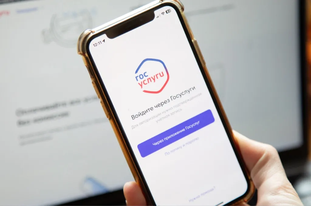 Обложка © TACC / Наталья Чернохатова