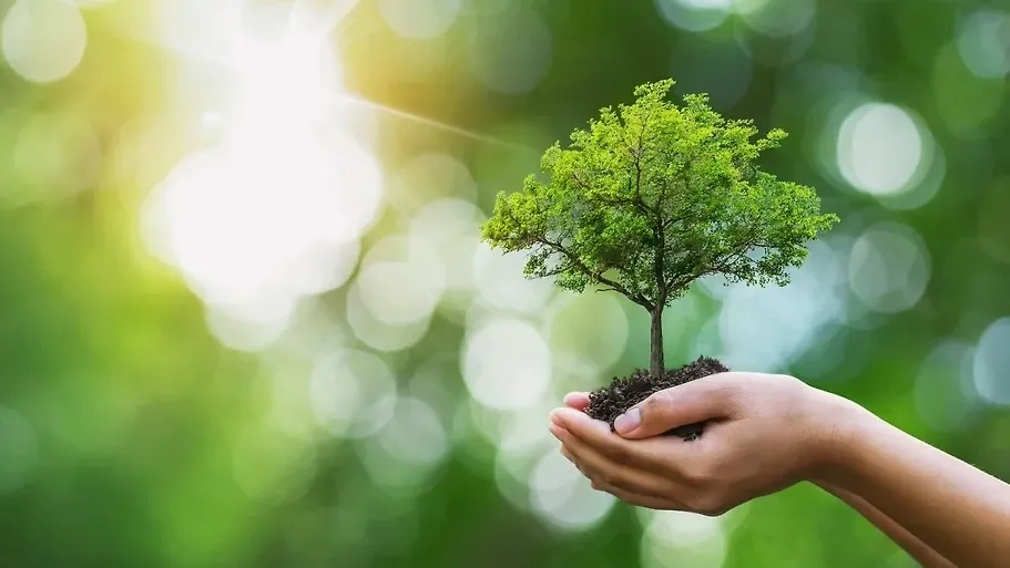 Обложка © Shutterstock / FOTODOM / Krailath