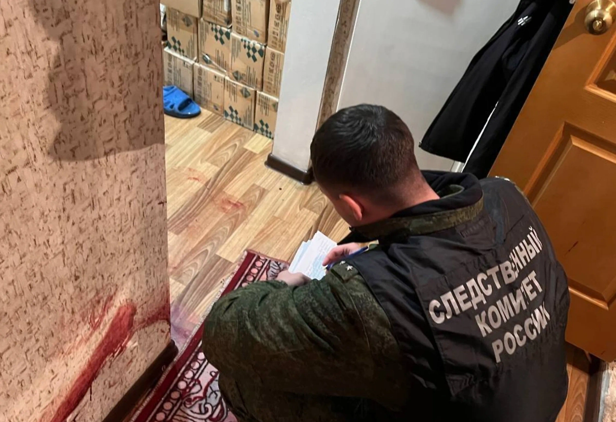 В Красноярском крае пожилых супругов нашли убитыми. Фото © Telegram / ГСУ СК России по Красноярскому краю и Республике Хакасия