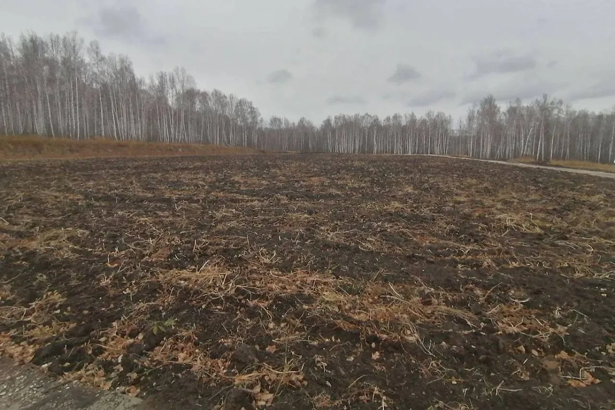 Пустырь вместо футбольного поля в Красноярском крае. Обложка © ГУ МВД по Красноярскому краю