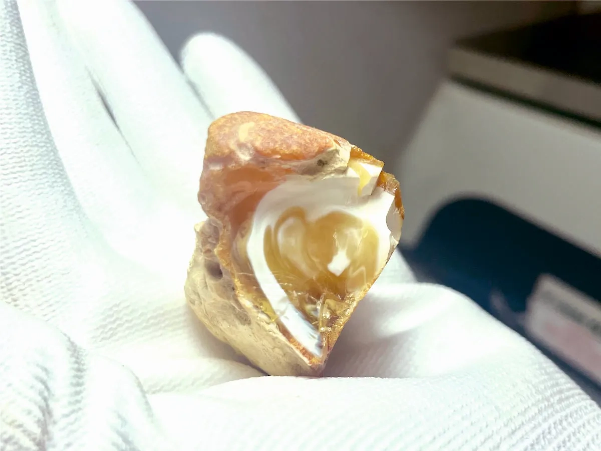 Уникальный янтарь с рисунком в виде сердца нашли под Калининградом. Обложка © Янтарный комбинат