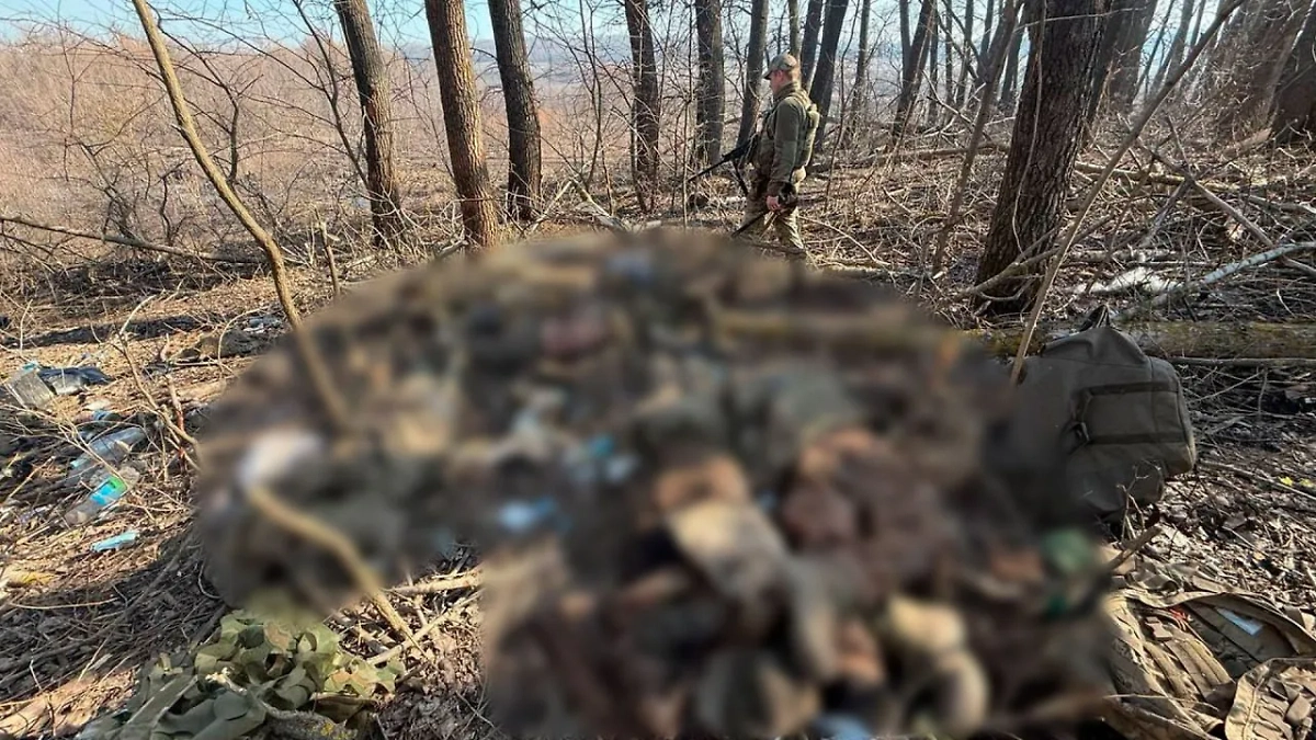 Ликвидированные в Судже бойцы ВСУ. Фото © Telegram / Kotsnews