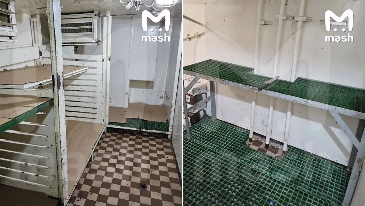 13 российских моряков полгода не могут покинуть арестованное судно Venus-1 в Намибии. Фото © Telegram / Mash