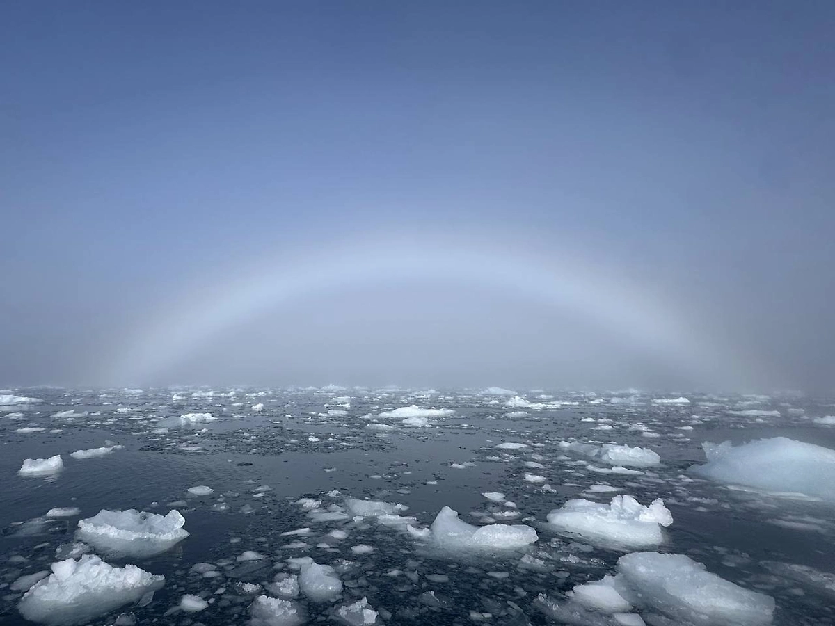 Фото © Facebook (признан экстремистской организацией и запрещён на территории Российской Федерации) / Национальный антарктический научный центр