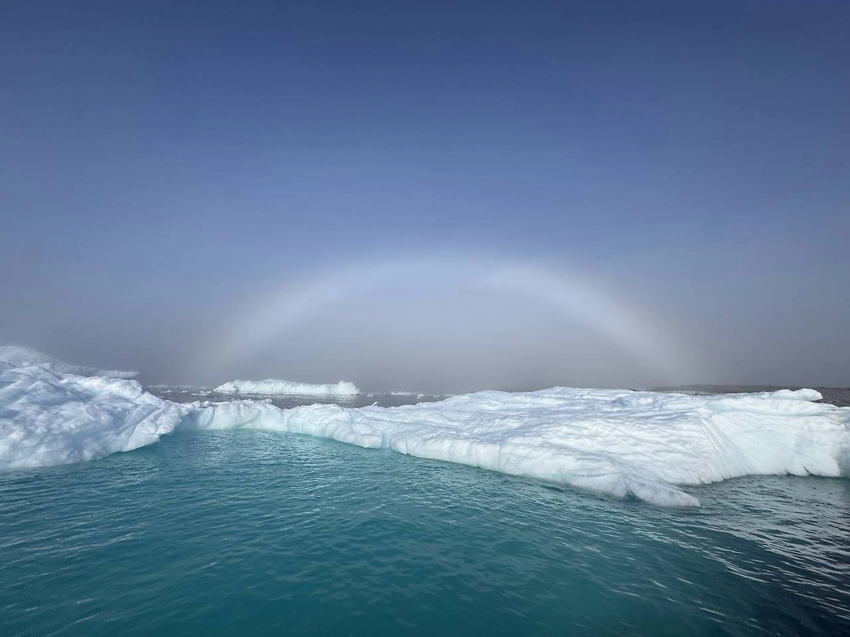 Фото © Facebook (признан экстремистской организацией и запрещён на территории Российской Федерации) / Национальный антарктический научный центр