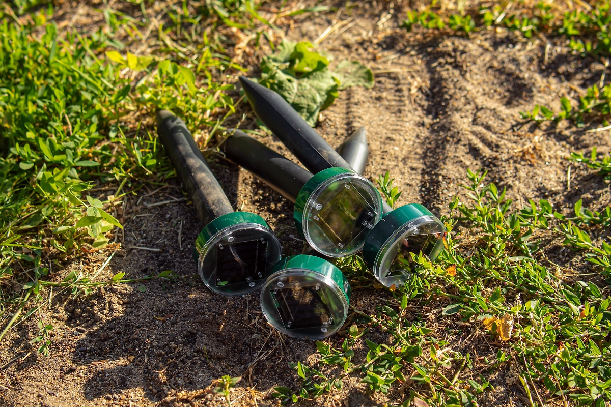 Куда поставить отпугиватели или ловушки для змей. Фото © Shutterstock / FOTODOM / Svetlyachock