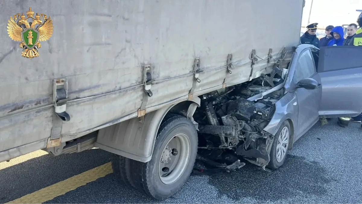 Последствия ДТП в Татарстане с четырьмя жертвами. Обложка © Telegram / Прокуратура Татарстана