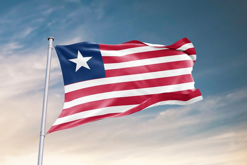 Обложка © Shutterstock / FOTODOM / Mini Onion