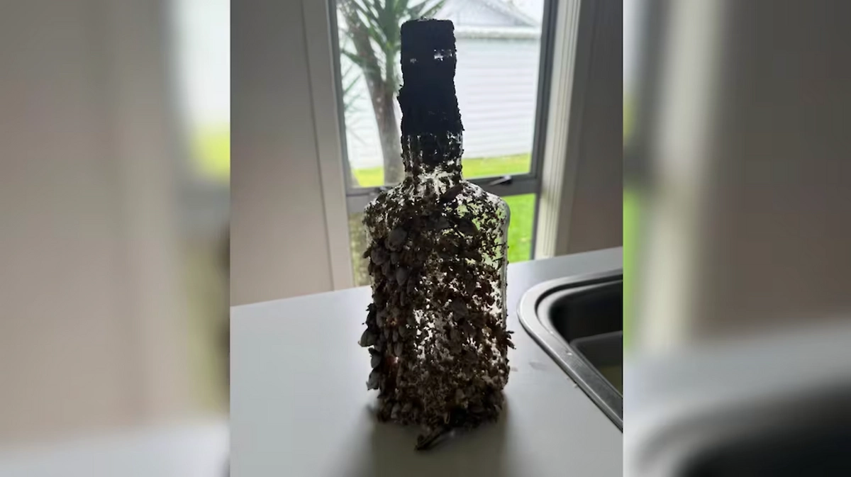 Бутылка с посланием, найденная мальчиком на пляже в Новой Зеландии. Фото © 1news.co.nz