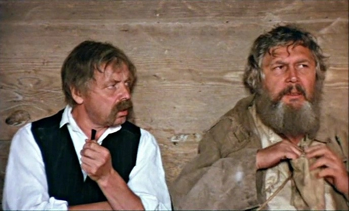 «Знахарь» — одна из самых трогательных польских мелодрам. Фото © Кадр из фильма «Знахарь», режиссёр Ежи Гоффман / Kinopoisk