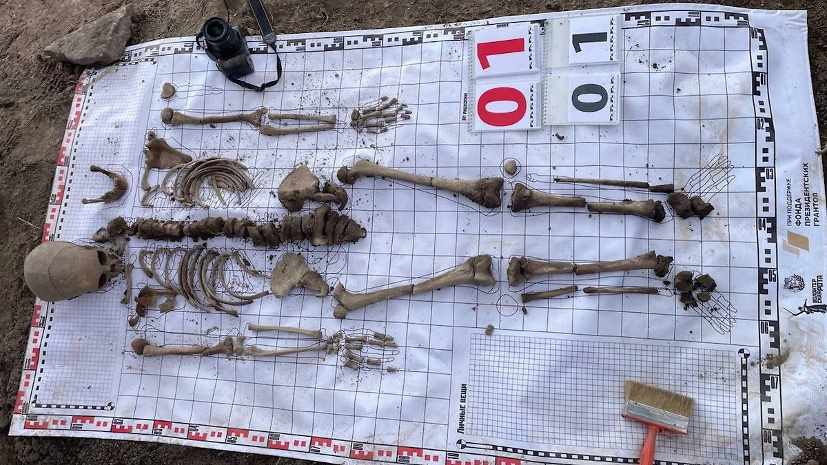 Тела мирных жителей, погибших от рук нацистов в Ленинградской области. Фото © Kotsnews