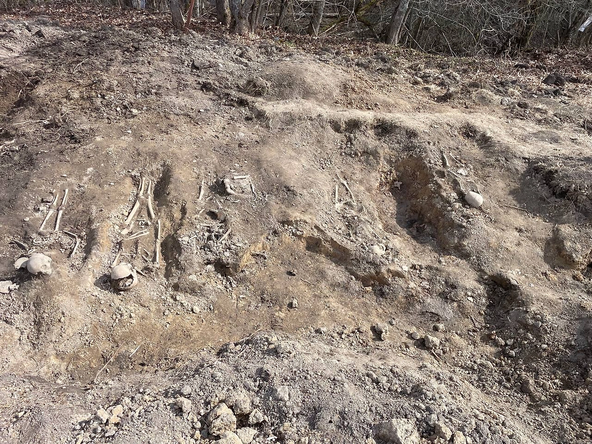 Тела мирных жителей, погибших от рук нацистов в Ленинградской области. Фото © Kotsnews