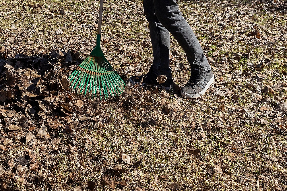 Топ-10 ошибок, которые совершают дачники в апреле 2026. Как не погубить свой дачный участок? Фото © ТАСС / Алексей Смышляев