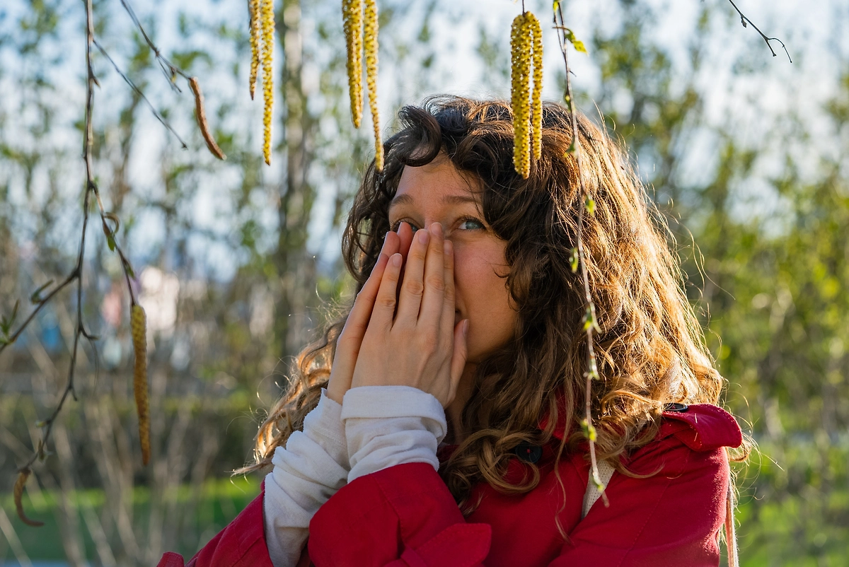Когда в 2026 году зацветёт береза. Фото © Shutterstock / FOTODOM / Elena Shishkina